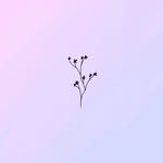 malak hammoud - @malak._hammoud - Instagram