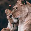 malak_hammoud🌸🤍 - @malak..mere313m - TikTok