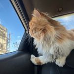 Malak Helal - @malakibrahhim - Instagram