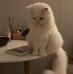 Malak Helal - Facebook