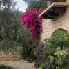 malakjamil3305 - @malakjamil3305 - TikTok
