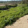 Malak Khatib - @malakkhatib2925 - TikTok