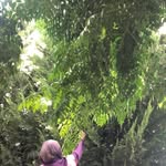 Malak Khatib - @malak.khatib_1993 - Instagram