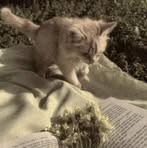 Malak Mohammed - Facebook