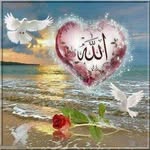 Malak Sharif - @malak.sharif.98 - Instagram