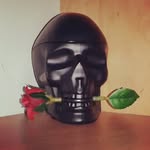 malak.sharif - @malak.sharif6 - Instagram