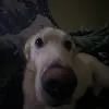 malakaijohnson - @user9032430352867 - TikTok