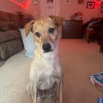 Malakai Murphy - Facebook