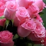 Malathi - @malathi.krishnan.5891 - Instagram