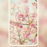 chinnu Charlie baby - @malathisingh121 - Instagram