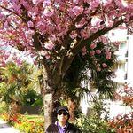 Malathi Srinivasan - @srini.malathi - Instagram