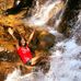 Malathi Sundaram - Facebook