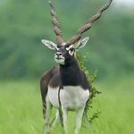 Malathi Sundaram - @mala0996 - Instagram