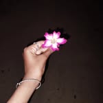 Malati Ghosh - @malatisurajit - Instagram
