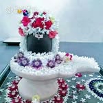 malavika kapadia - @kapadiamalavika - Instagram