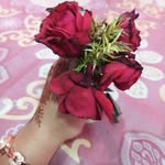 Malay Dey - @deymoalay - Instagram