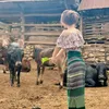 malayahkar - @malayahkar - TikTok