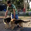 Malay Raval - @raval.malay1989 - TikTok