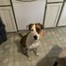 Malaya Smith - Facebook