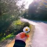 Malaz Mostafa - @malazmustafa672 - Instagram