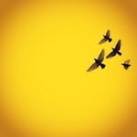 Malaz Mustafa - @malaz_i2 - Instagram