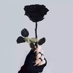 Malaz mustafa - @malaz3520 - Instagram