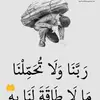 Malaz Mustafa🇸🇩🇨🇦 - @malaz.mustafa32 - TikTok