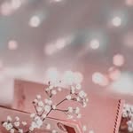 Malaz Mustafa Alnour - @malaz3955 - Instagram