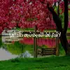 malazmustafa🌺 - @malaz.mustafa2 - TikTok
