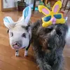 arnoldnmalcolm - @arnoldnmalcolm - TikTok