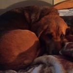 Malcolm Arnold - @malcolm.arnold - Instagram