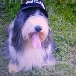 Malcolm Arnold - @malcolm.arnold.3726 - Instagram
