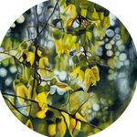 @frances_malcolm_artist - Instagram