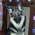 Malcolm Ashford - @ashfordmalcolmmalc - Instagram