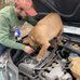 Malcolm Atkinson - Facebook
