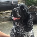 Malcolm Bates - @malcolmbates64 - Instagram