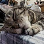 Malcolm Bates - @malcolm_bates_music - Instagram