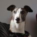 Malcolm Bfg Bates - Facebook