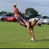 Malcolm Beazley - @malcolm.beazley - TikTok