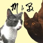 Malcolm Benjamin - @malcolm_and_benjamin - Instagram