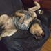 Malcolm Benson - Facebook