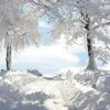 Malcolm Benson - @malcolmenson153 - TikTok