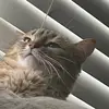 Malcolm Benson - @malcolm.benson7 - TikTok