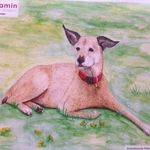 Malcolm Bernstein - @inspiredbybenjamin - Instagram