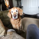 John Malcolm Birch - @johnmalcolmbirch - Instagram
