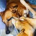 Malcolm Mason and Blue - Facebook
