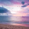 branhammalcolm.1072 - @branhammalcolm.1072 - TikTok