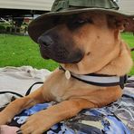 Malcolm Brigden - Facebook