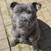 Malcolm Bright - Facebook