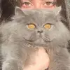 Malcolm Brittany - @malcolm.brittany - TikTok